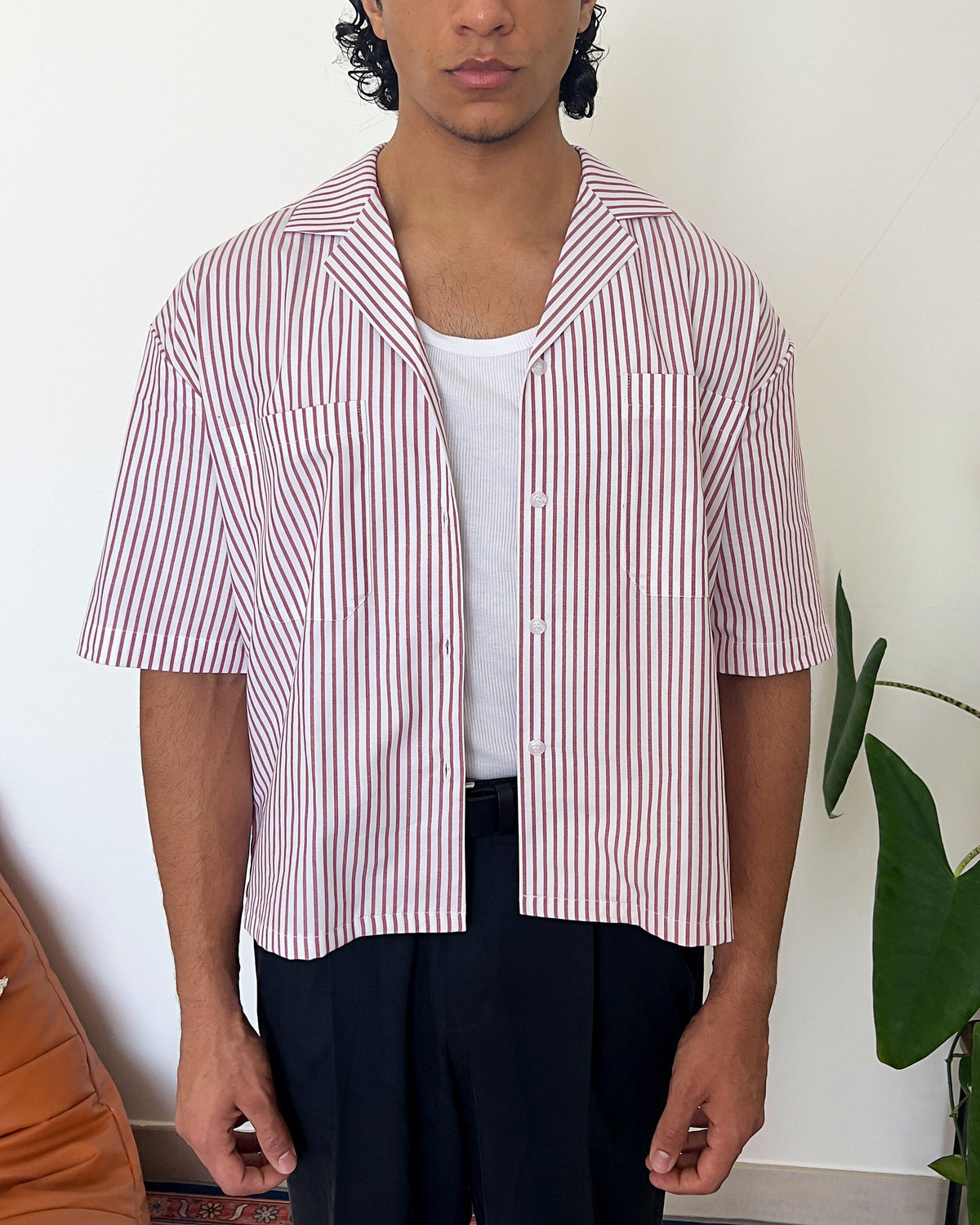 Cherry pinstripe cotton oxford fabric detail